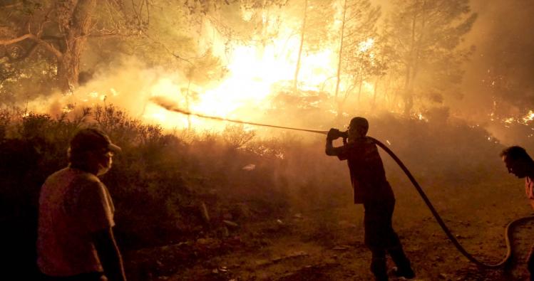 16 günde 54 ilde çıkan 299 orman yangınının tamamı kontrol altına alındı.